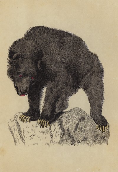 Grisly Bear (farvelitografi) af English School