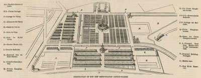 Grundplan for det nye Metropolitan Kvægmarked, Copenhagen Fields af English School