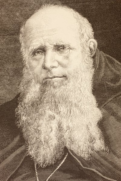 Guglielmo Massaia (litho) af English School