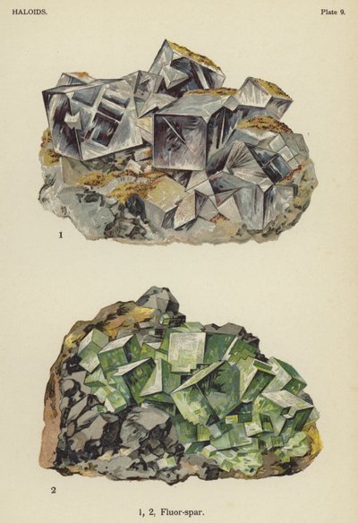 Haloider, flusspat (farve litho) af English School