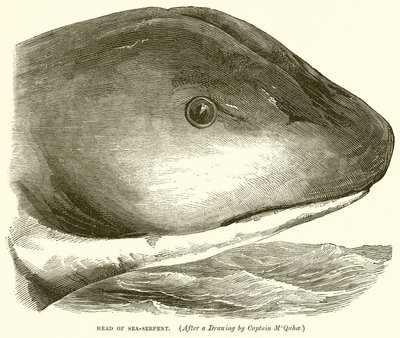 Head of Sea-Serpent af English School