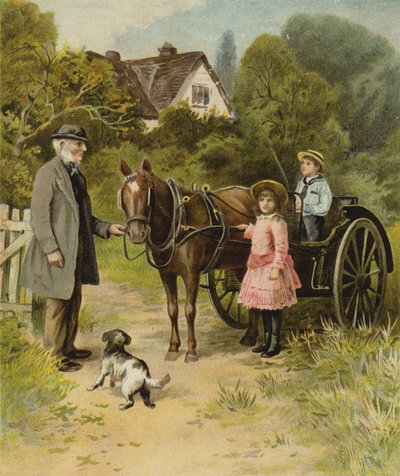 Ferie og fritid af English School