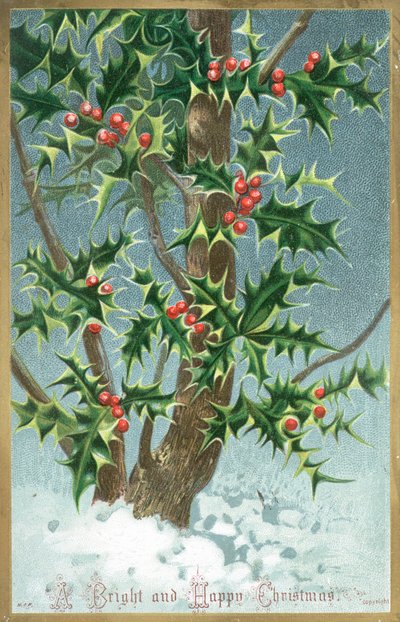 Holly Tree, julekort af English School