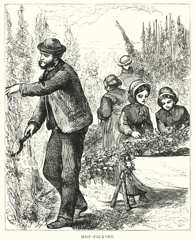 Humleplukning (gravering) af English School