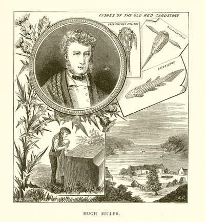 Hugh Miller af English School