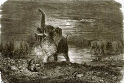 Jæger og elefant af English School