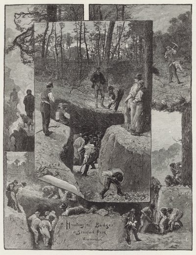 Jagt grævlingen i Stanford Park af English School