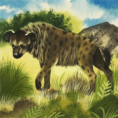 Hyæne af English School