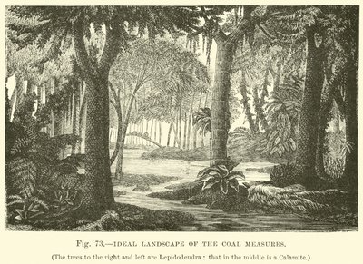 Ideale Landschaft der Kohleflöze von English School