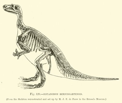 Iguanodon Bernissartensis  af English School