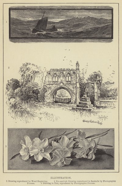 Illustration (gravering) af English School