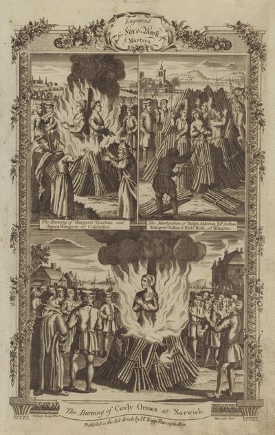 Illustration til Fox