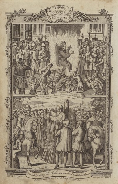 Illustration für Fox