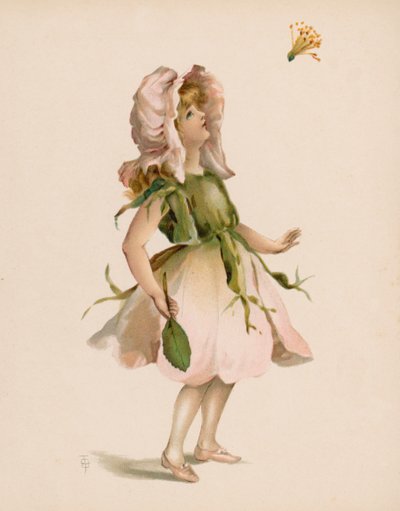 Illustration til The Language Of Flowers (chromolitho) af English School