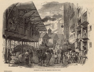 Import af frugt til jul af English School