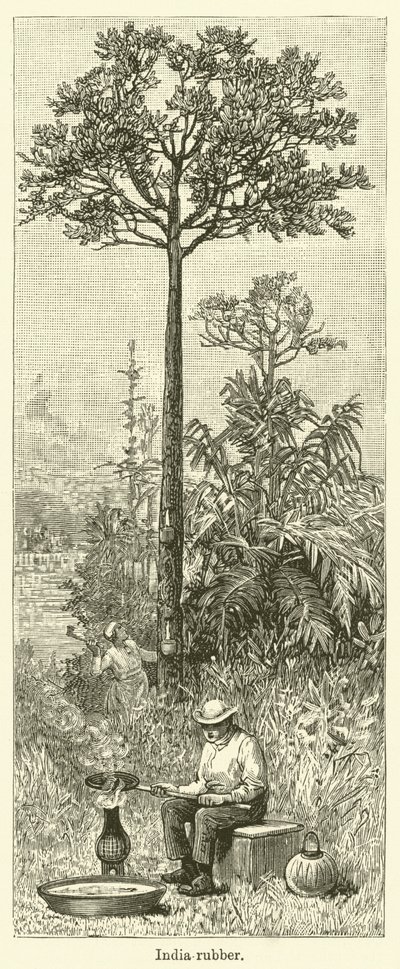 India-rubber (engraving) af English School