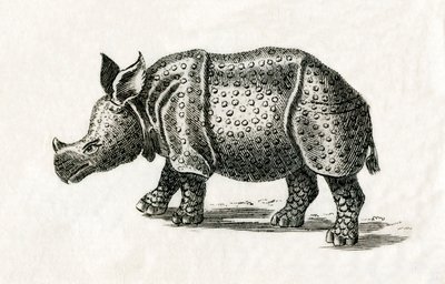 Indisk næsehorn, eller større ethornet næsehorn, Rhinoceros unicornis, fra et tryk fra det 18. århundrede (gravering) af English School