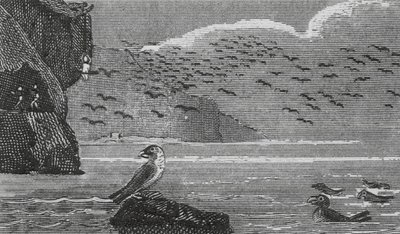 Isle of Man (gravering) af English School