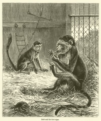 Jack og hans første cigar (gravering) af English School