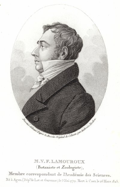 Jean Vincent Felix Lamouroux af English School