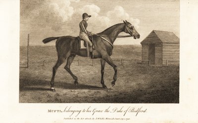 Jockey på den berømte fuldblods racer Mufti, der tilhører hans Grace the Duke of Bedford af English School