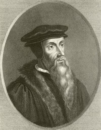 John Calvin af English School