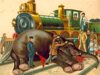 Jumbo, tot von English School