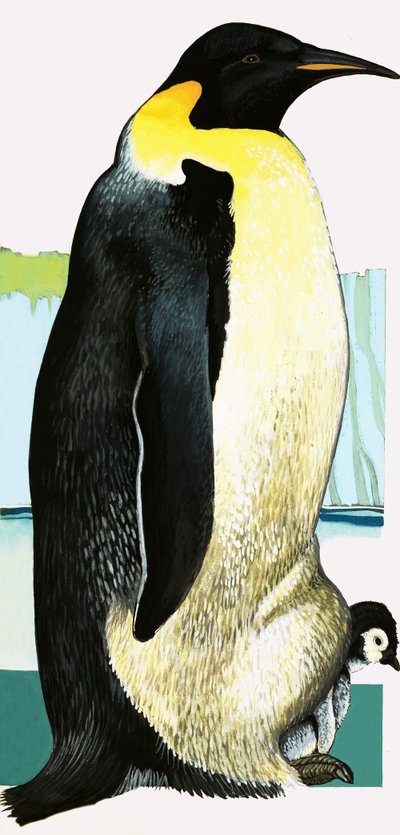 Kong Pingvin af English School