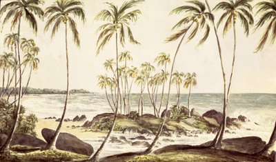 Kosgoda Beach, Ceylon, ca. 1835 (wc på papir) af English School