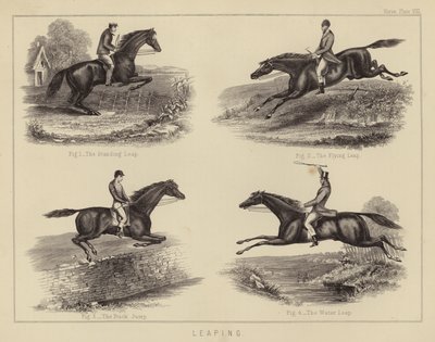Springende (farve litho) af English School
