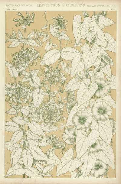 Blade fra naturen af English School