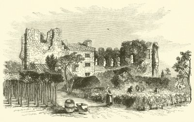 Leicester Abbey (gravering) af English School