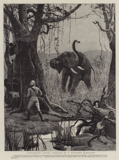 Løjtnant Trapper ladet op af en såret elefant (gravering) af English School