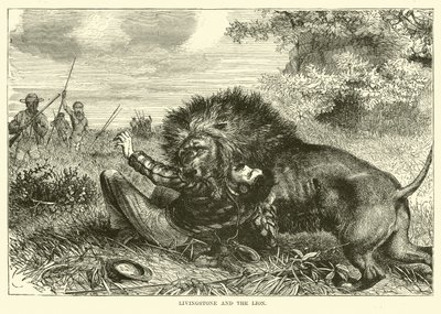 Livingstone og løven af English School