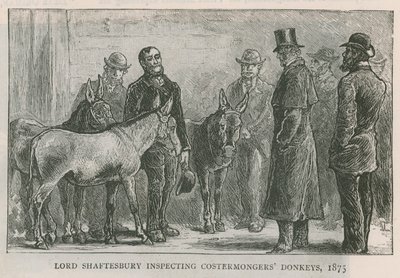 Lord Shaftesbury inspicerer æsler fra kosterhandlere af English School