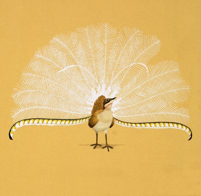 Lyre Fugl af English School