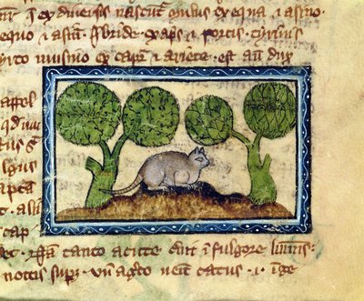 MS 379 f.12r En kat, der sidder på hug på en jordhøj, detalje fra en Bestiary, engelsk af English School