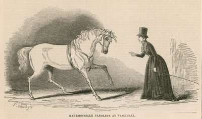 Mademoiselle Caroline i Vauxhall Gardens, London af English School