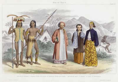 Malay Race (farvet indgravering) af English School