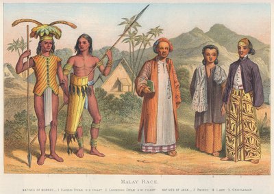 Malay Race (farvelagt gravering) af English School