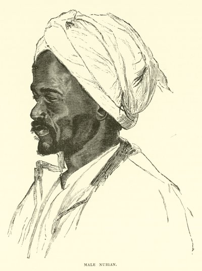 Male Nubian  af English School