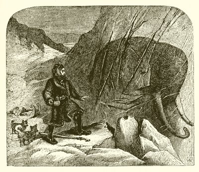 Mammoth i isen af English School
