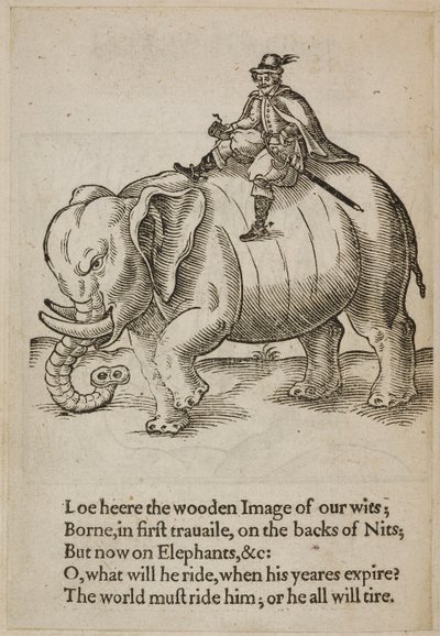 Mand rider på en elefant, illustration fra 