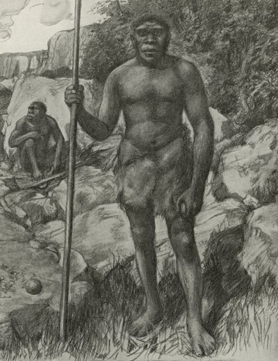 Mand hvis kranie blev opdaget i Rhodesia i 1921 af English School
