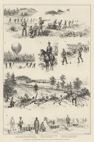 Manøvrer af First Army Corps i og omkring Wolmer Forest, Hampshire (gravering) af English School