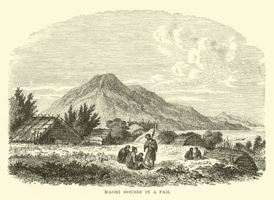 Maori-huse i en Pah af English School