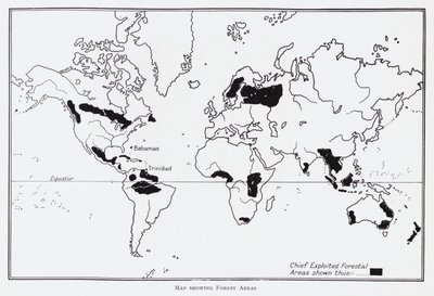 Karte der Waldgebiete (Lithografie) von English School