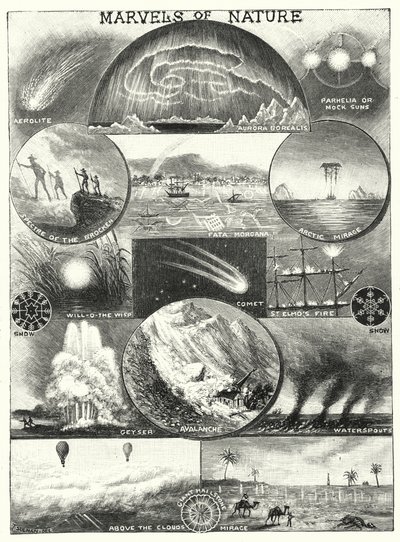 Marvels of Nature (gravering) af English School