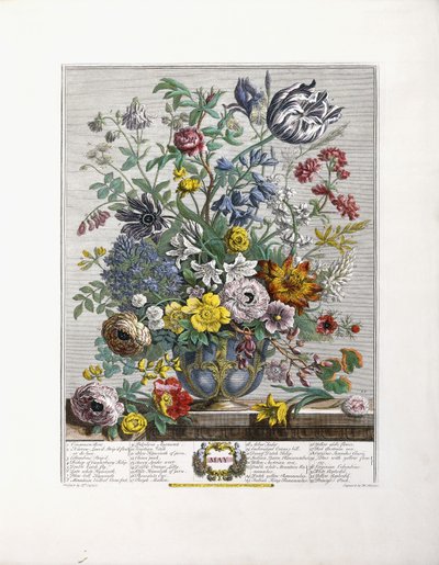 maj 1730 af English School