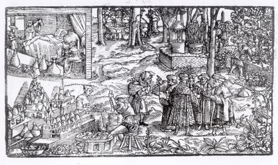 Medicinsk urtedyrkning, 1531 af English School